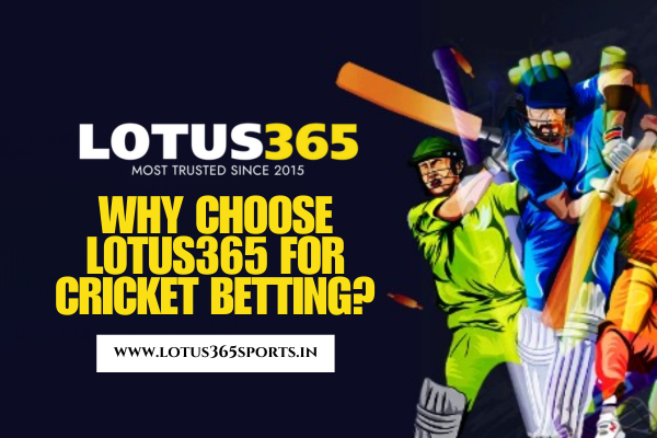 Why Choose Lotus365 for Cricket Betting?