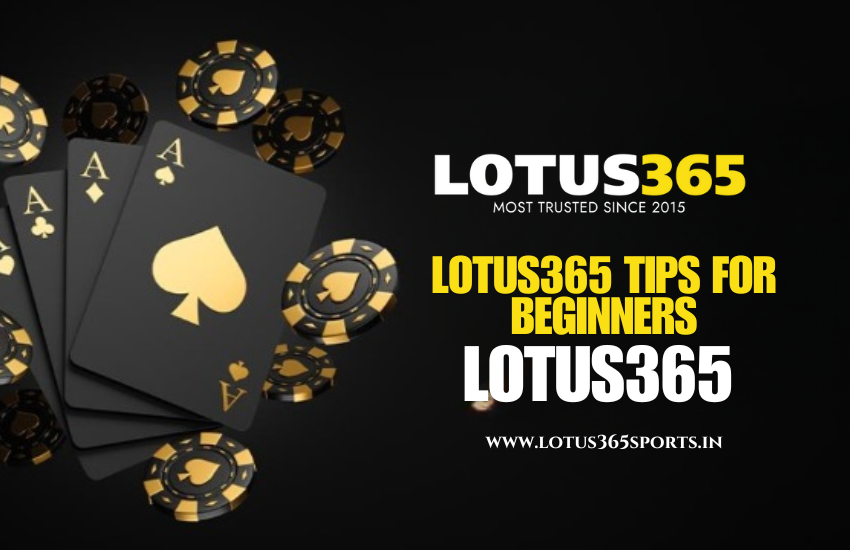 Poker Tips for Beginners