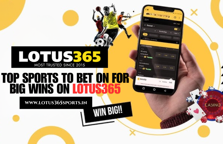 Read more about the article Best Sports to Bet on with Lotus365 for High Returns