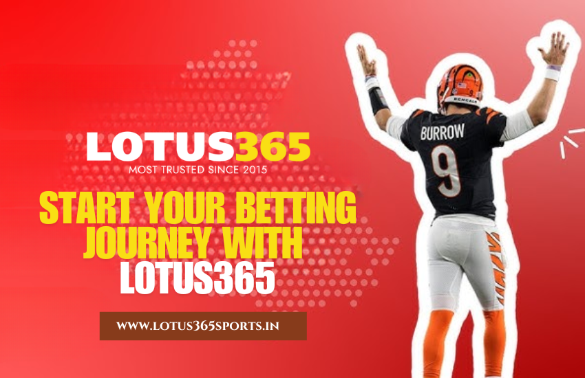 Best Sports to Bet on for Beginners